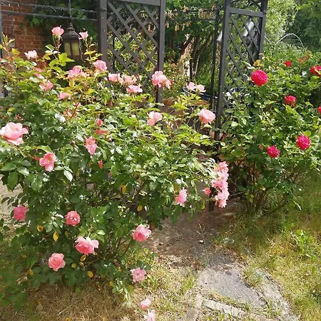 Schlossblick Fuer 4 Mit Kueche Kamin Netflix Parken Und Hofladen *
