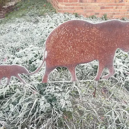 Appartamento Schlossblick Fuer 4 Mit Kueche Kamin Netflix Parken Und Hofladen *