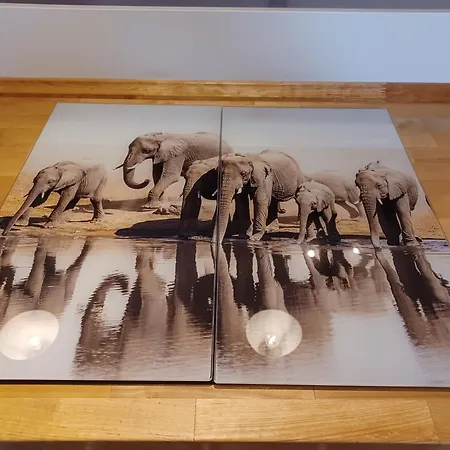 Schlossblick Fuer 4 Mit Kueche Kamin Netflix Parken Und Hofladen Appartement Steinhofel