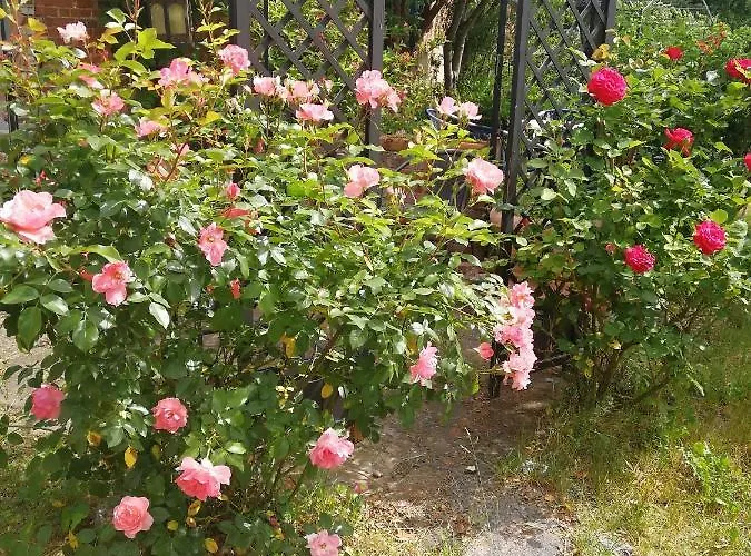 Schlossblick Für 4 Mit Küche Kamin Netflix Parken Und Hofladen *