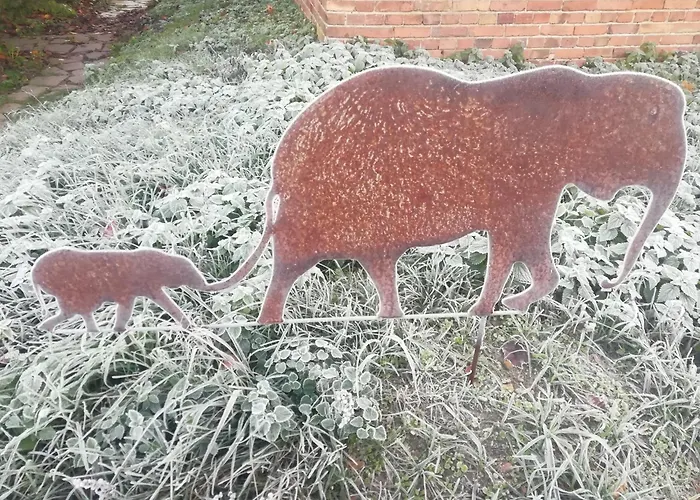 Appartamento Schlossblick Fuer 4 Mit Kueche Kamin Netflix Parken Und Hofladen *