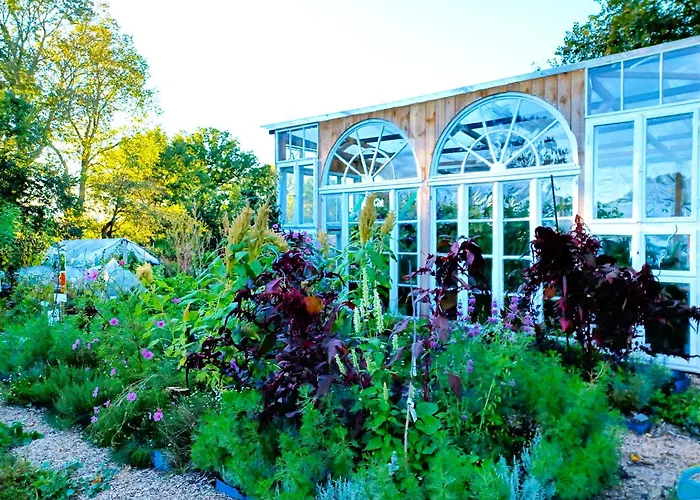 Apartamento Schlossblick Für 4 Mit Küche Kamin Netflix Parken Und Hofladen *